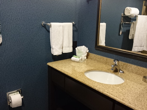 Holiday Inn 休斯顿东钱诺夫by IHG主图