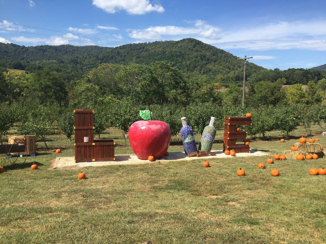 Peaks of Otter Winery-Bedford必去景点