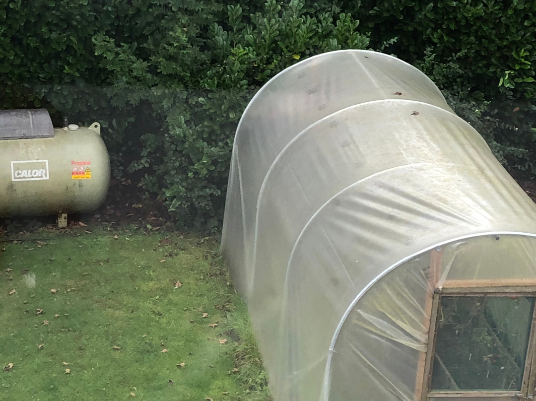 The Gateway Inn主图