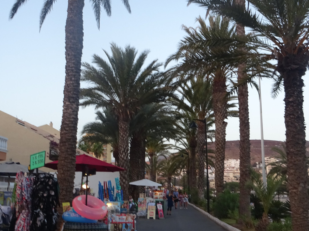 Playa de las Vistas-洛斯克里斯蒂亚诺斯必去景点