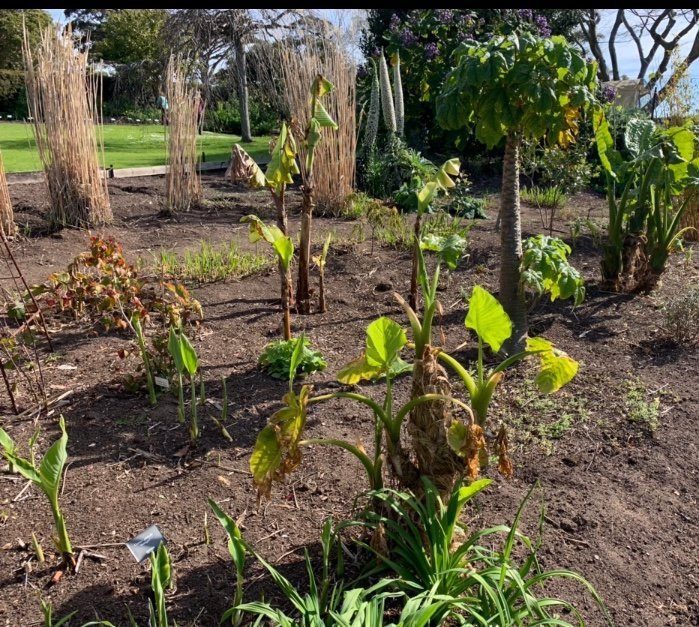 Heronswood-Dromana必去景点