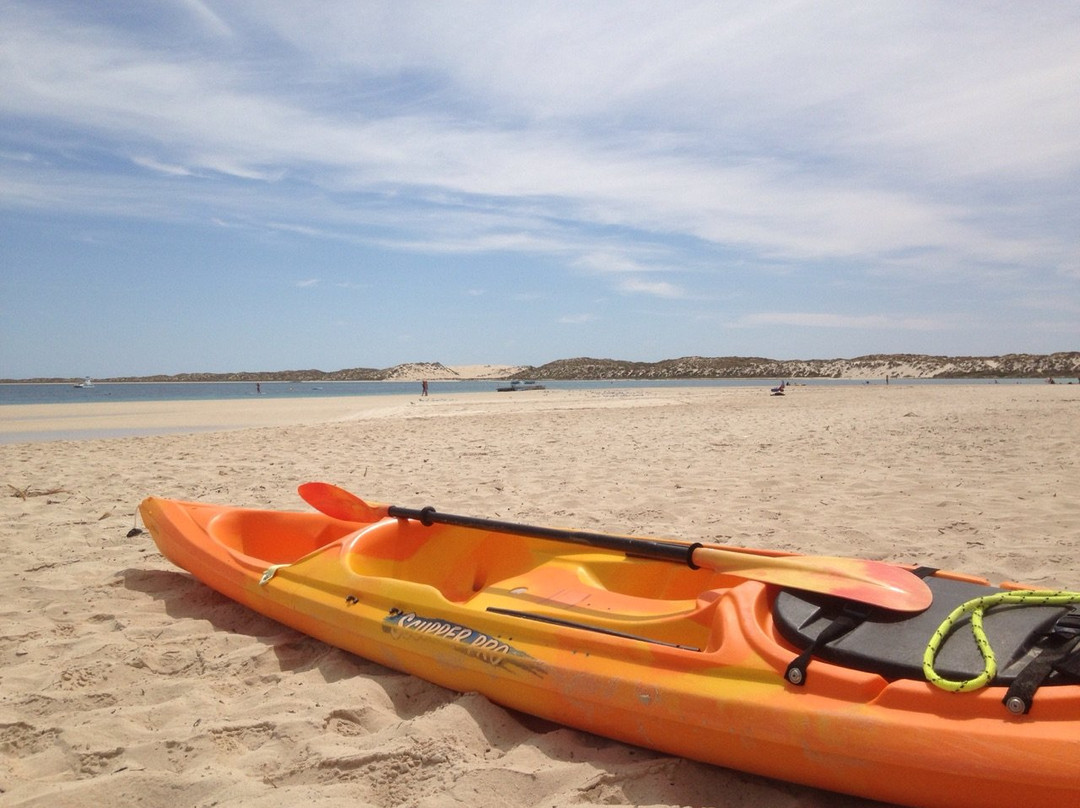 Ningaloo Kayak Adventures-珊瑚湾必去景点