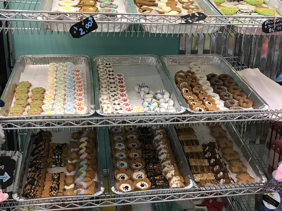 Salty Paws-里霍博斯比奇必去景点