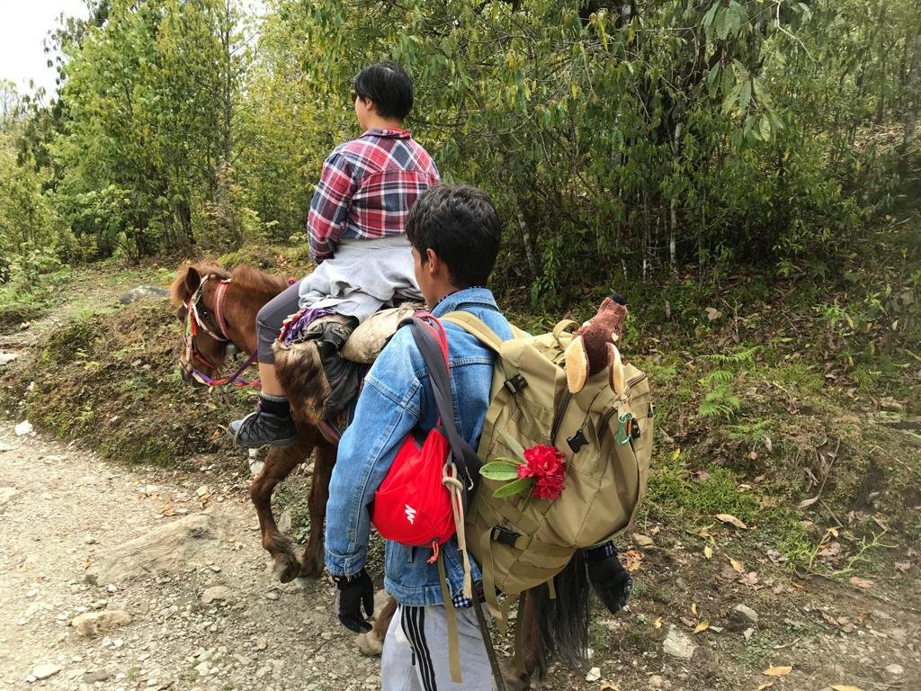 Hotel Grand View, Tadapani主图