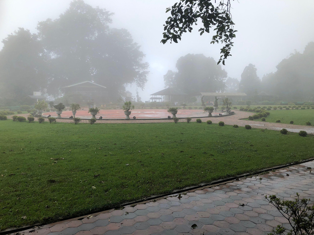 Shrubbery Nightingale Park-大吉岭必去景点