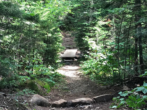 Big Moose Mountain-Greenville必去景点