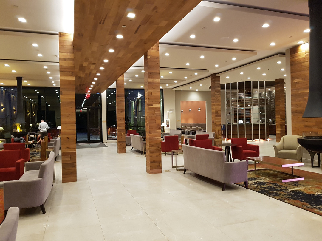 The Chandler at White Mountains主图