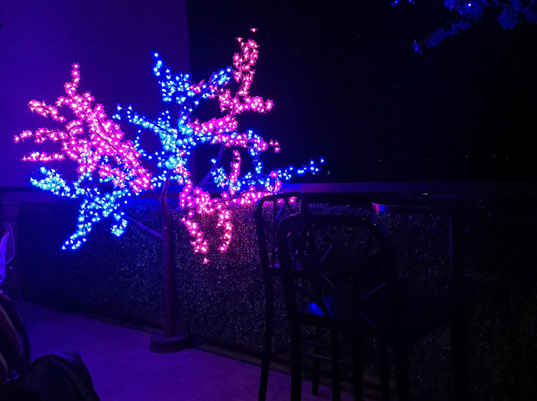 Hotel Estrella主图