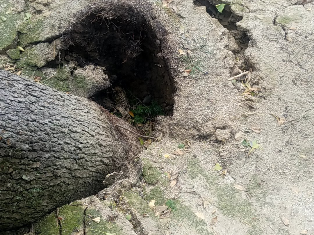 Main Building of Iioka Hachimangu-市原市必去景点