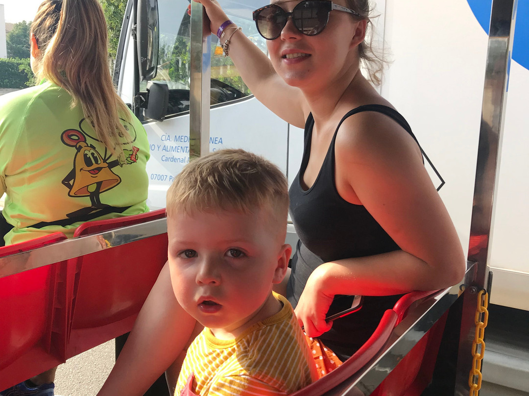 Mini Train-Ca'n Picafort必去景点