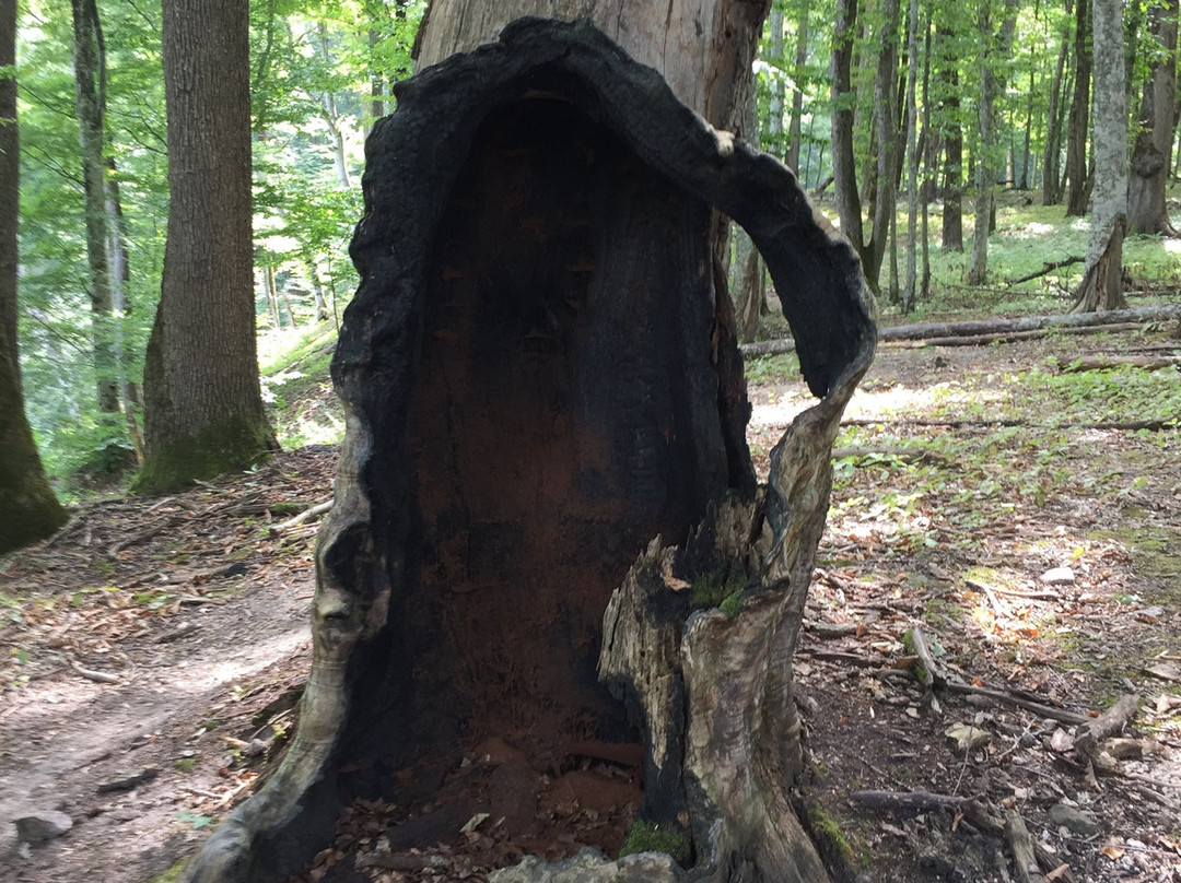 Zerkalo Rock-Goryachy Klyuch必去景点