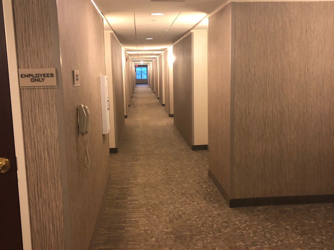 SpringHill Suites by Marriott Chicago Lincolnshire主图