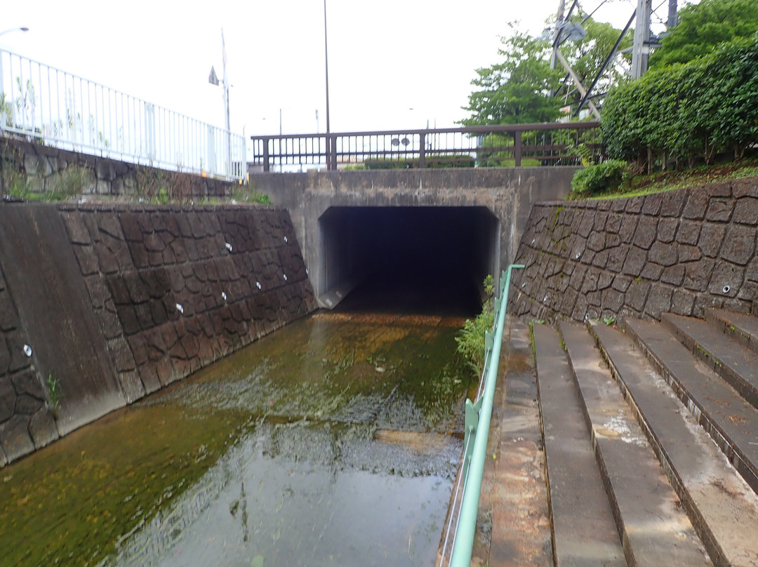 Daimaru Park-稻城市必去景点