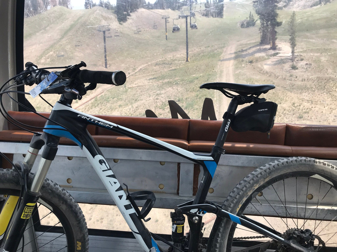 Mammoth Mountain Bike Park景点图片