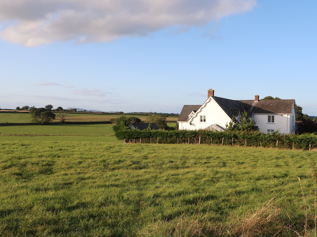 Gwern-Eiddig Farmhouse B & B主图