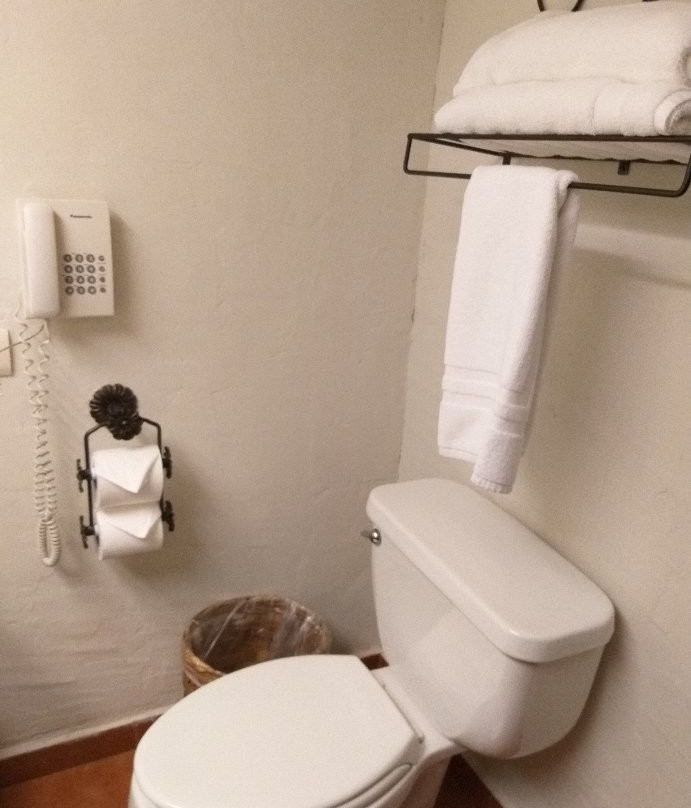 Las Palomas de Santiago主图