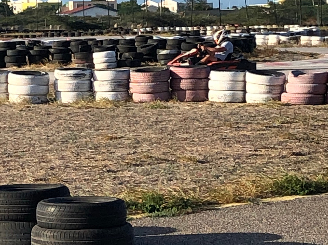 Bushiri Karting Speedway-奥腊涅斯塔德必去景点