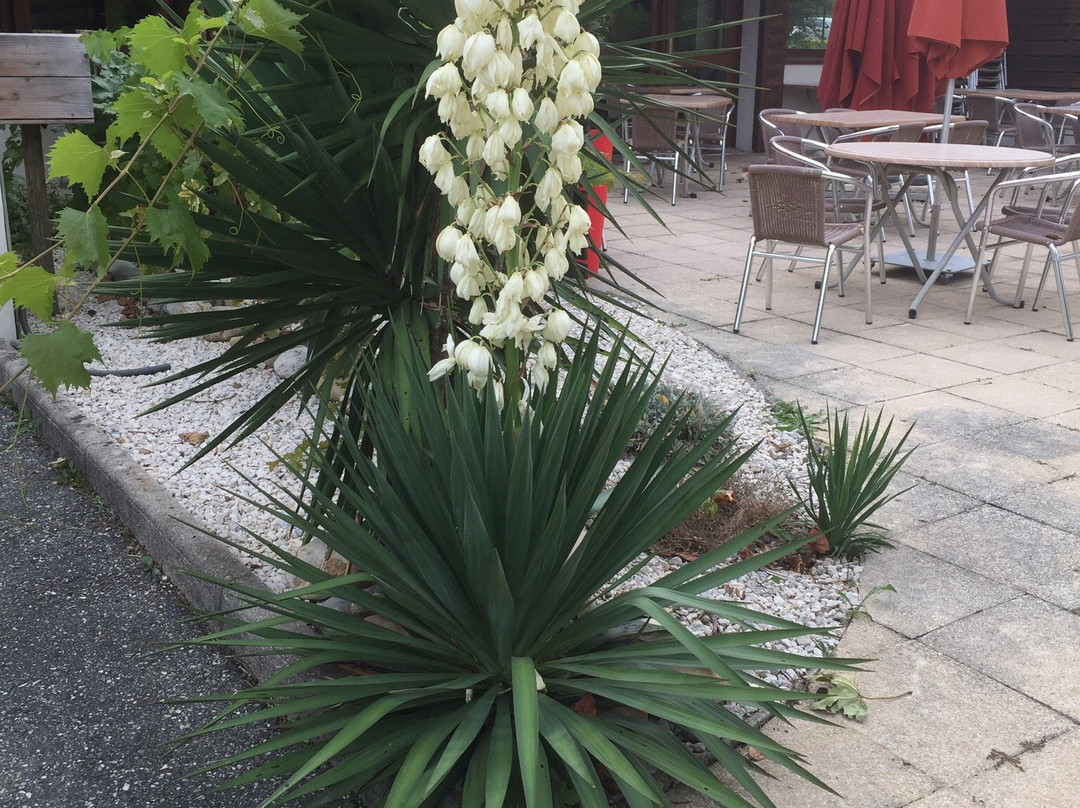 Logis Hôtel la Clé des Champs主图