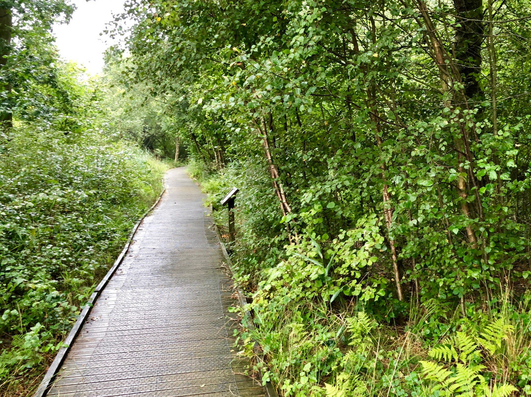 Askham Bog Nature Reserve景点图片