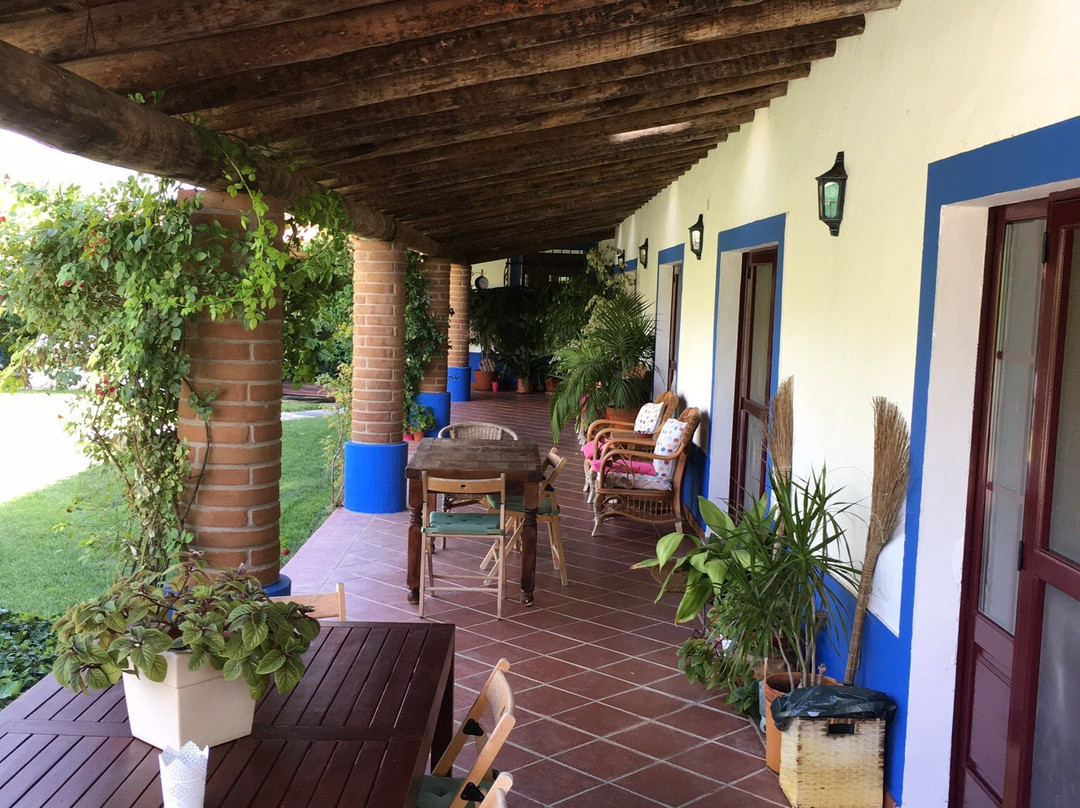 Monte do Laranjal主图