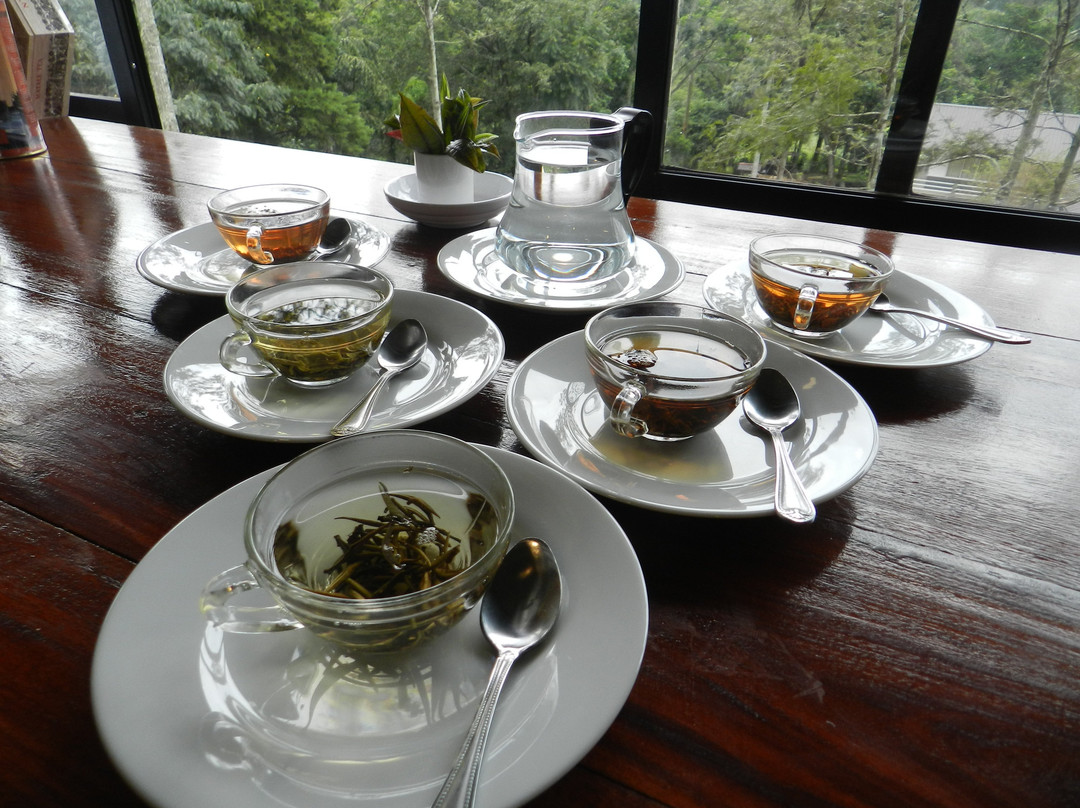 Eeescart Family Resort主图