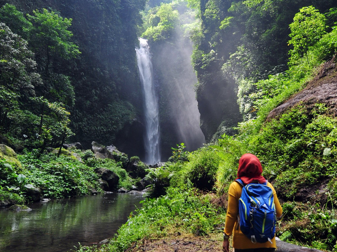 Coban Jodo Waterfall景点图片