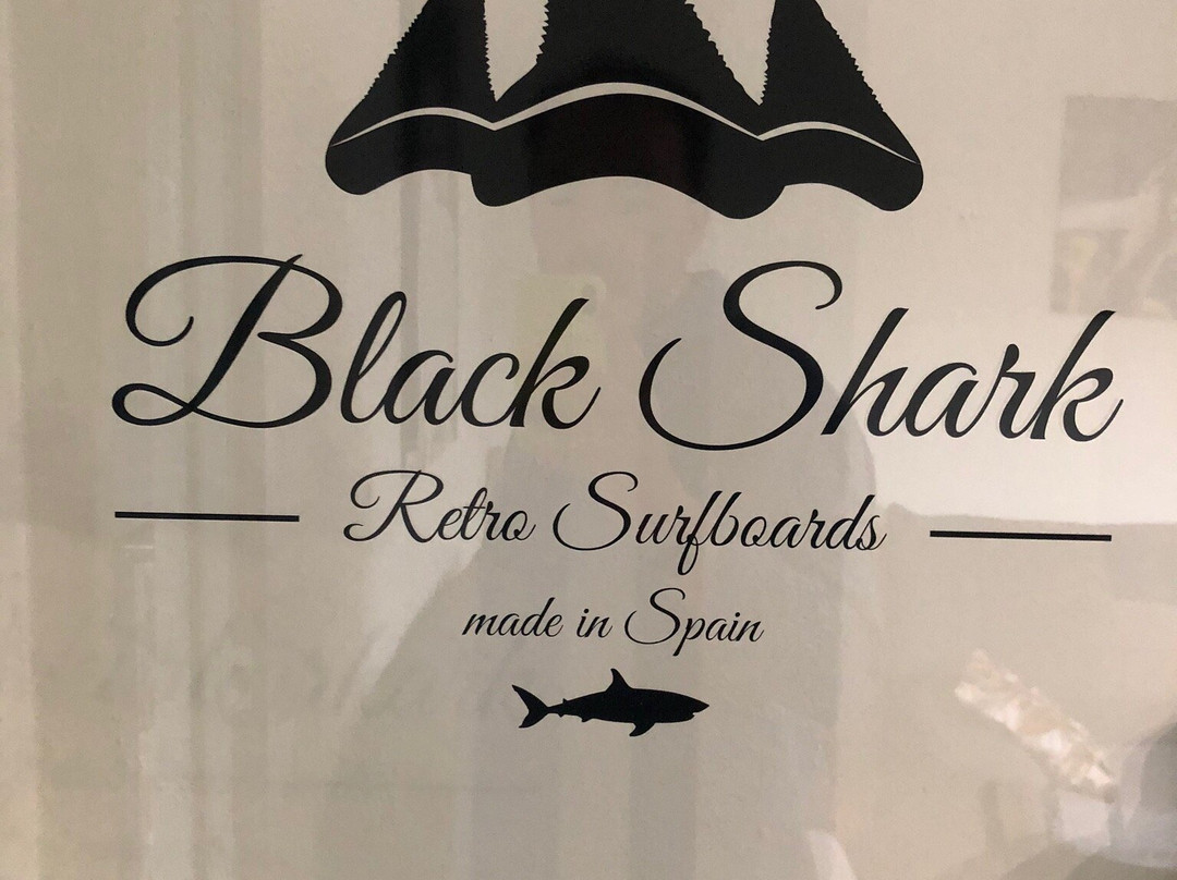 Black Shark Surfhouse - Surfschool景点图片
