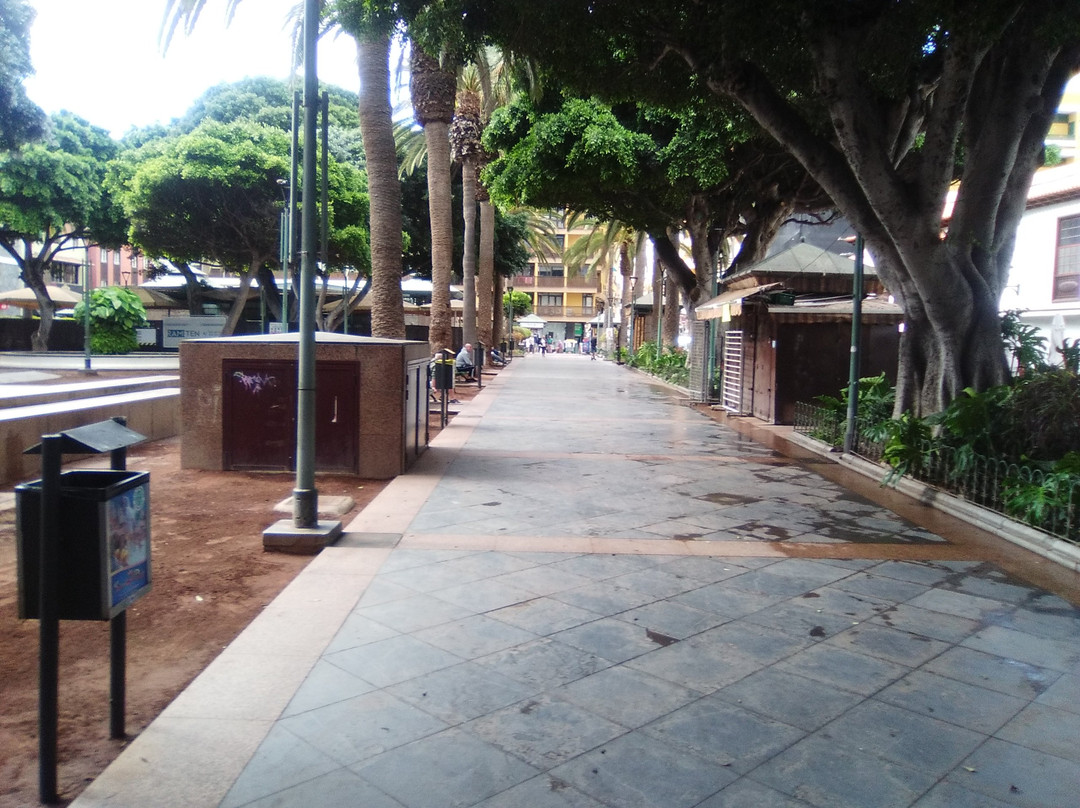 Plaza Charco景点图片