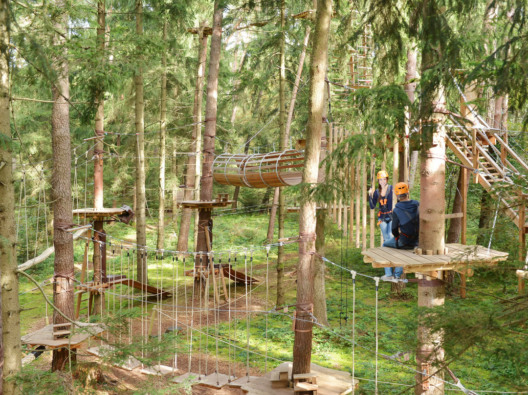 Münchner Wald Kletterwald Vaterstetten景点图片