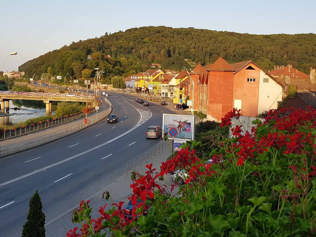 DoubleTree by Hilton Sighisoara - Cavaler主图