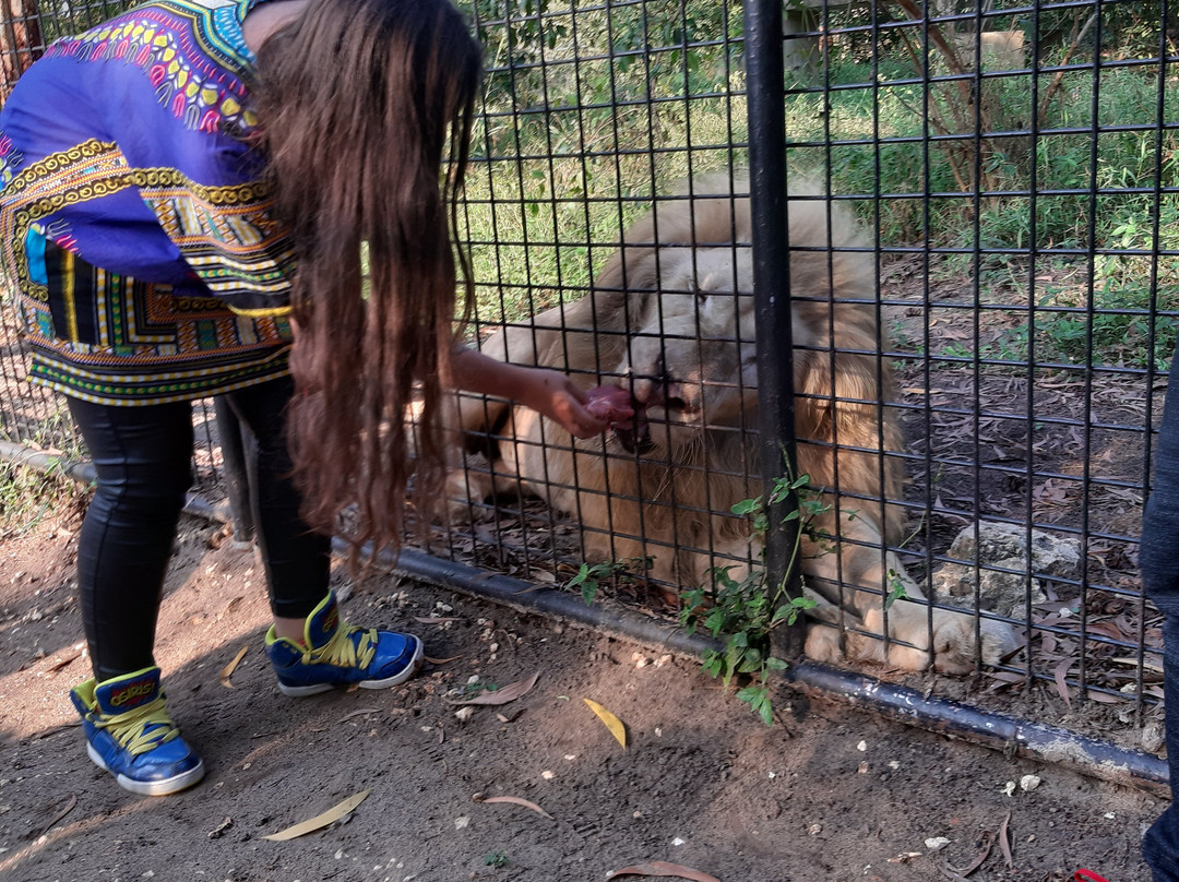 猎豹动物园-桑给巴尔岛必去景点