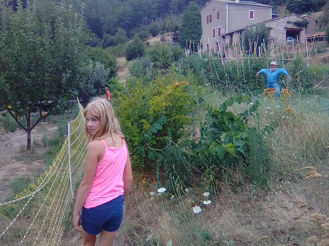 Au P'tit Bonheur主图