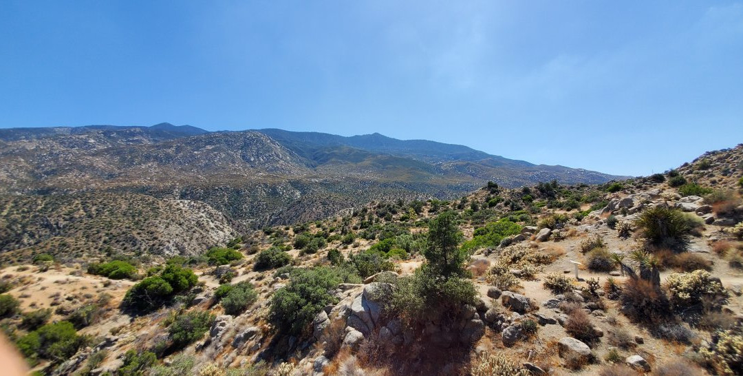 Palms to Pines Scenic Byway-棕榈沙漠必去景点