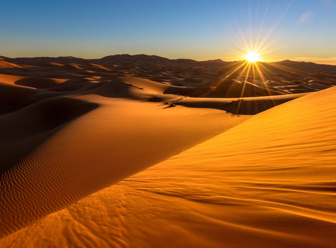 Sahara Atlas Tours景点图片