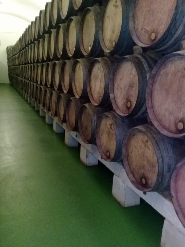 Bodegas Hermanos Peciña S.l景点图片