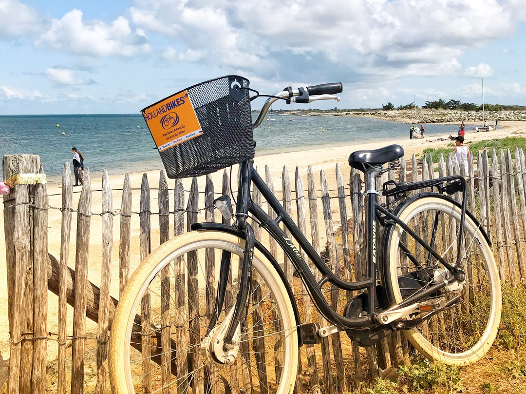 Holland Bikes景点图片