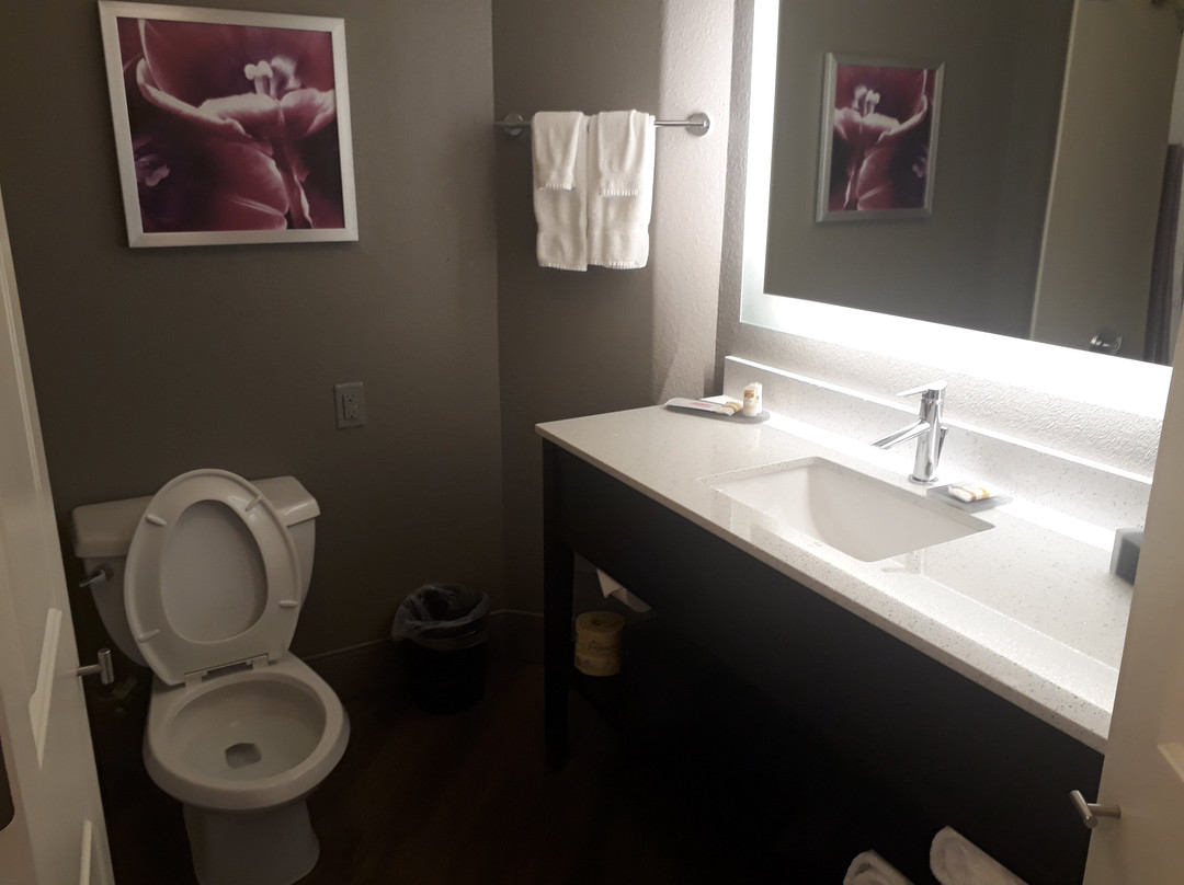 亚特兰大阿尔普哈雷塔拉昆塔温德姆套房酒店主图