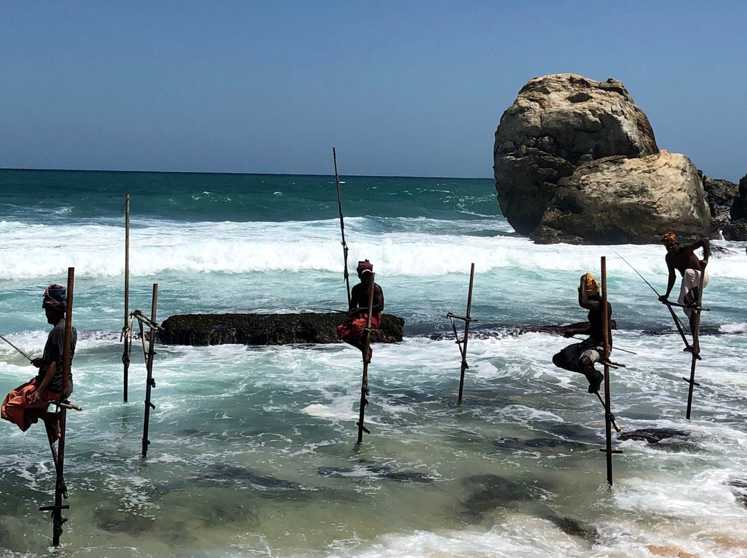 Stilt Fishermen Sri Lanka景点图片