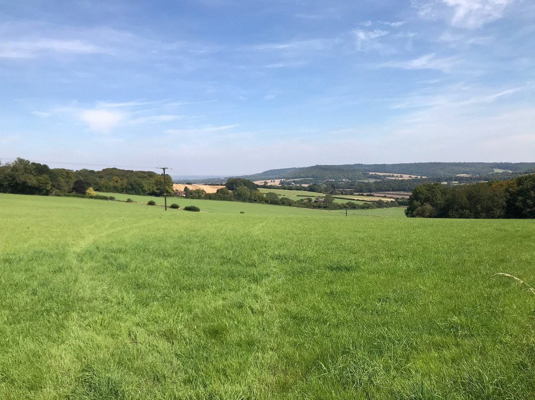 Chiltern Walks景点图片