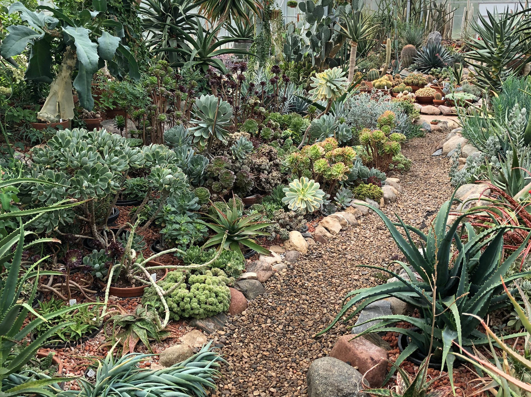 International Peace Garden-Dunseith必去景点