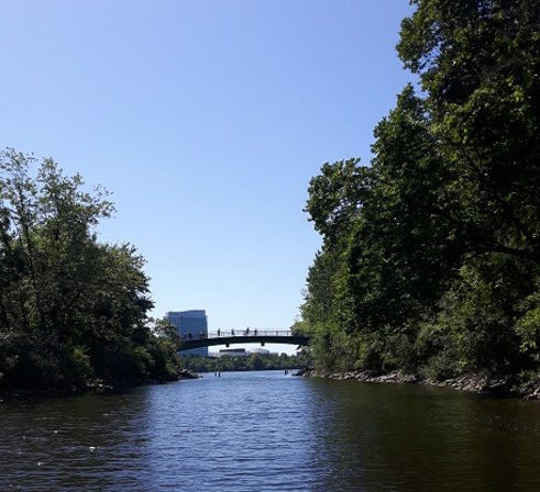 Aqua-Taxi-加蒂诺必去景点