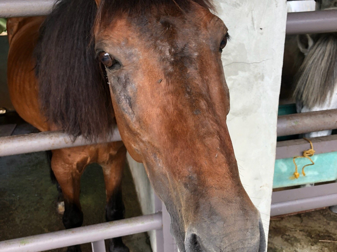 VH Green Nature Park-古晋必去景点