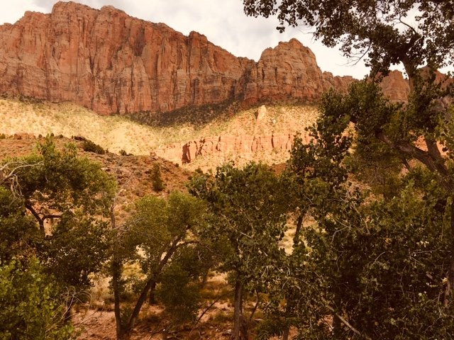 Desert Pearl Inn主图