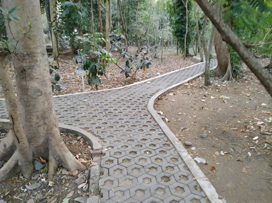 City Forest of Malabar-玛琅必去景点