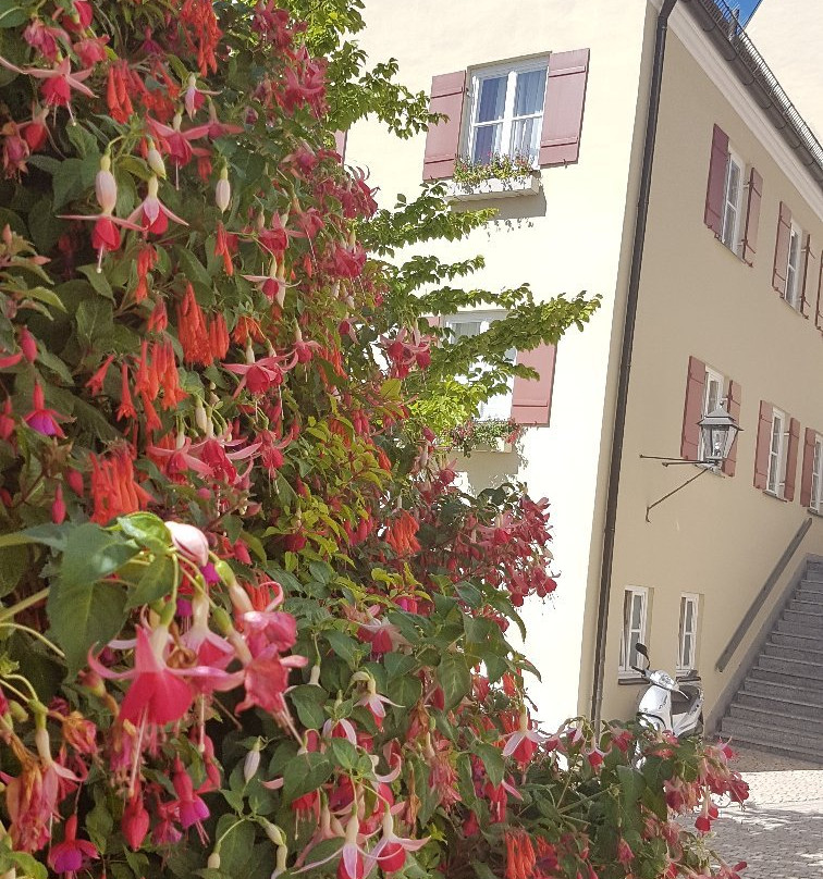 Gasthof & Pension zur Ente