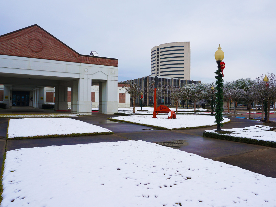 Art Museum of Southeast Texas景点图片