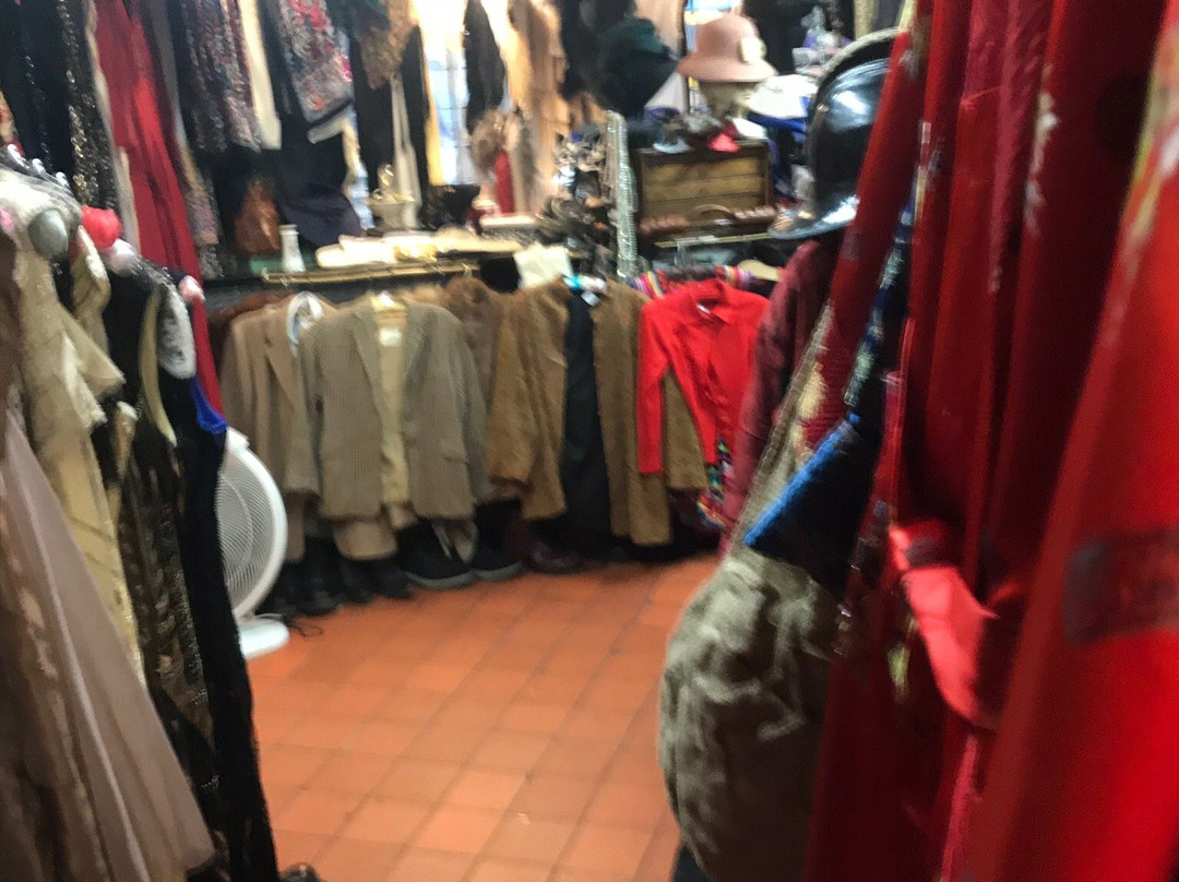 Revival-托特尼斯必去景点