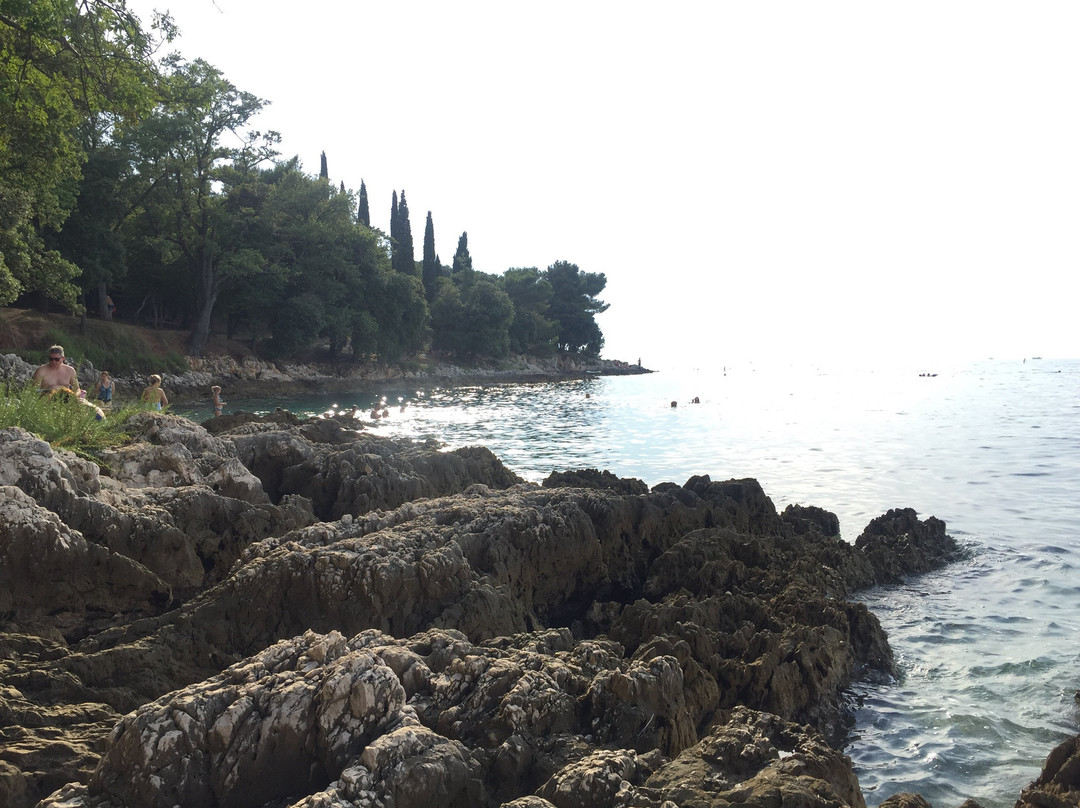 Hotel Istra Plava Laguna主图