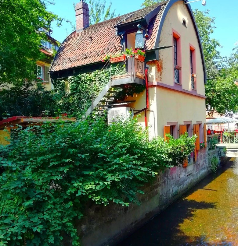 Free Tour Freiburg-佛莱堡必去景点