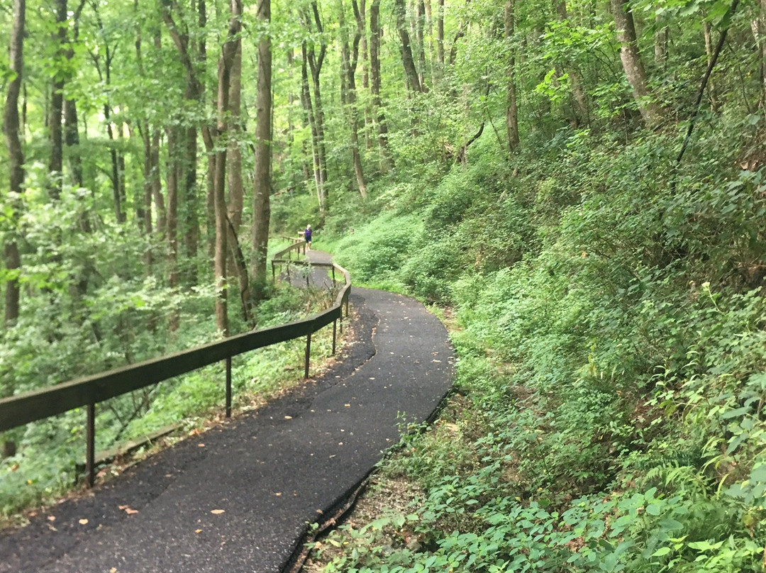 West Ridge Spring Trail-道森维尔必去景点